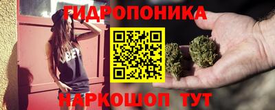 соль ск Дубна