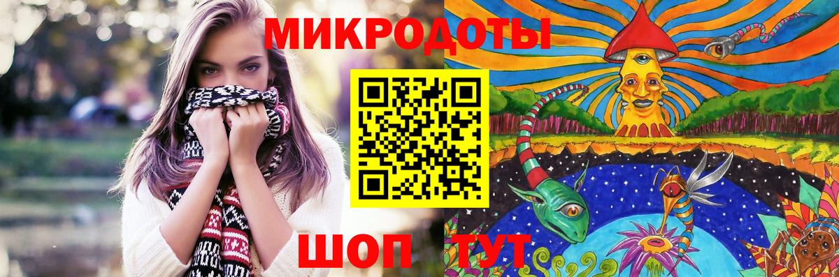 Галлюциногенные грибы Psilocybe Минусинск