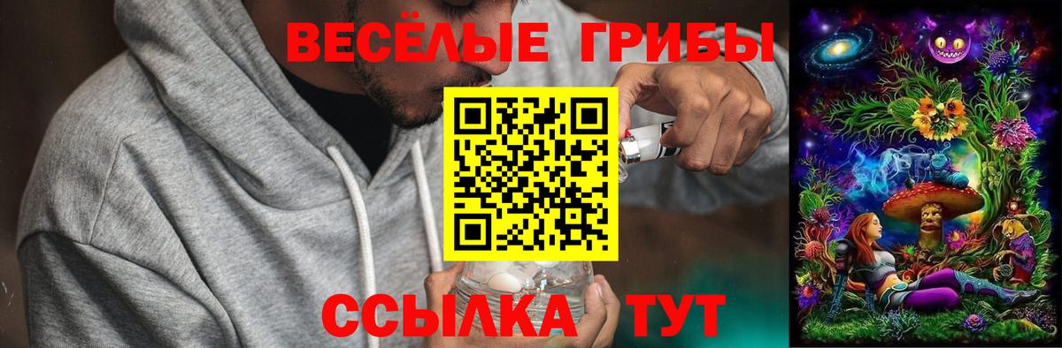 Меф Минусинск