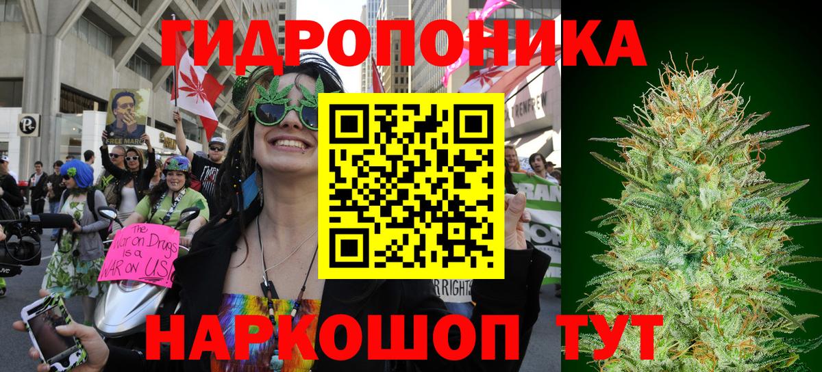 Канабис план  Вход с VPN  Минусинск  Бошки марихуана тримм  Шишки марихуана Bruce Banner 